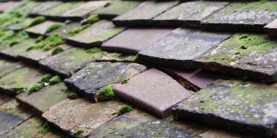 Coedana roof repair costs